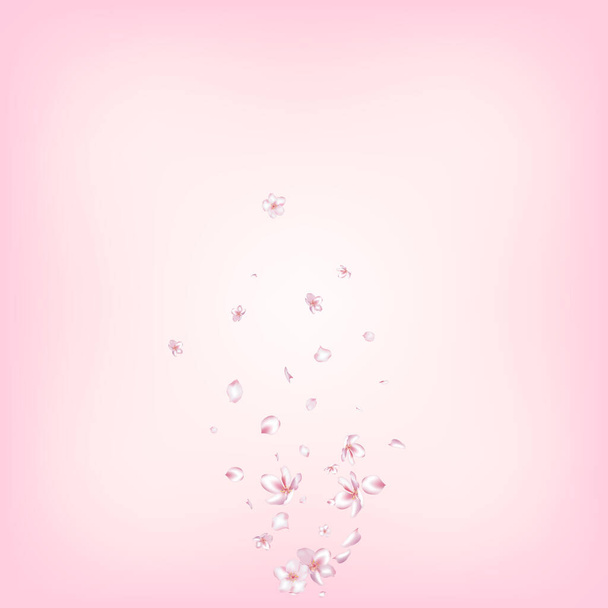 Sakura Cherry Blossom Confetti vagyok. Repülő japán Sakura Rose Cherry szirmok design. Windy elhagyja a Confetti Plakátot. Női gazdag VIP női textúra. Virágzó kozmetikumok hirdetés nemes virág háttér. - Vektor, kép
