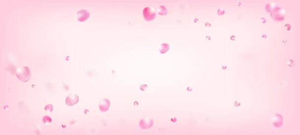 Rose Petals Falling Confetti. Falling Japanese Rose Cherry Sakura Petals Banner. Female Rich VIP Pastel Pattern. Blooming Cosmetics Ad Elegant Flower Background. Windy Leaves Confetti Border. - Vector, Image