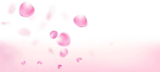 Rozenblaadjes vallen Confetti. Vliegende Japanse Sakura Cherry Rose Petals Frame. Winderige bladeren Confetti grens. Mooi Premium Vrouwelijk Patroon. Bloeiende cosmetica Ad nobele bloem achtergrond. - Vector, afbeelding
