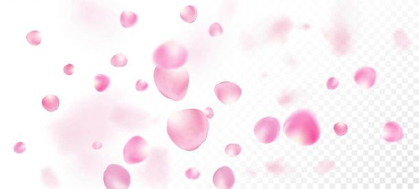 Ruusun terälehdet putoavat konfetti. Falling japanilainen Cherry Sakura Rose terälehdet Border. Kaunis rikas VIP akvarelli rakenne. Windy Leaves Confettin juliste. Kukkivat kosmetiikka mainos tyylikäs kukka tausta. - Vektori, kuva