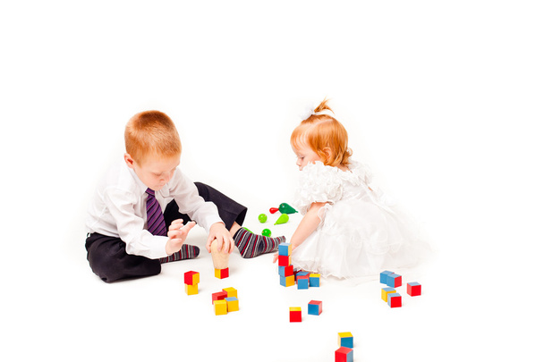 A pigeon pair play with blocks on a white background - Zdjęcie, obraz