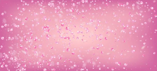 Τα ροδοπέταλα πέφτουν από κομφετί. Noble Premium μαγική υφή. Ο Γουίντι αφήνει το πλαίσιο κομφετί. Ανθισμένα καλλυντικά διαφήμιση θηλυκό λουλούδι φόντο. Πετώντας Ιαπωνικά Rose Cherry Sakura Petals Σχεδιασμός. - Διάνυσμα, εικόνα