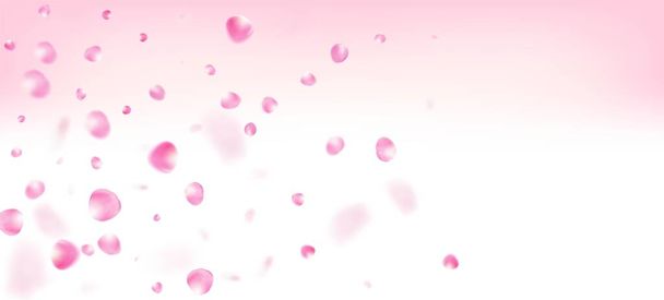 ローズペタルがコンフェッティに落ちる。美しいプレミアムマジックテクスチャ。化粧品広告エレガントな花の背景を開花。ウィンディはコンフェッティ・ボーダーを離れる。日本の桜の花びらのポスター. - ベクター画像