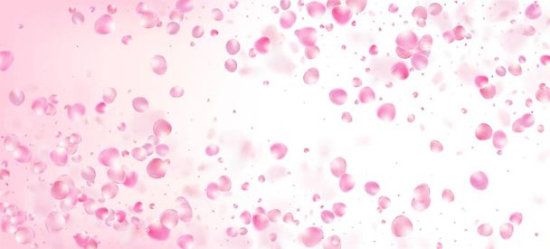 Rose Petals Falling Confetti. Windy Leaves Confetti Design. Blooming Cosmetics Ad Female Flower Background. Falling Japanese Sakura Rose Cherry Petals Border. Elegant Rich VIP Feminine Texture. - Vector, Image