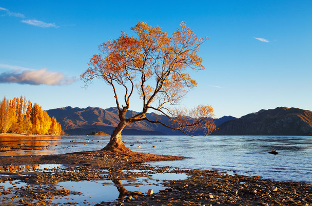 Göl wanaka, Yeni Zelanda - Fotoğraf, Görsel