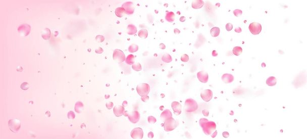 Rose Petals Falling Confetti (em inglês). Blooming Cosmetics Ad Elegant Floral Background. Flying Japanese Cherry Sakura Rose Petals Frame. O vento deixa a fronteira Confetti. Padrão de Aquarela VIP Rico Nobre. - Vetor, Imagem