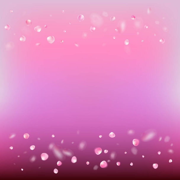 Rózsa szirmok repülő Confetti. Virágzó kozmetikumok hirdetés Elegáns virág háttér. Nemes Prémium Gyengéd Minta. Windy elhagyja a Confetti Design-t. Repülő japán Sakura Cherry Rose szirmok határ. - Vektor, kép