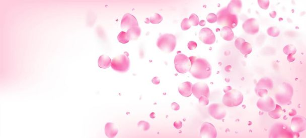 Ruusun terälehdet putoavat konfetti. Blooming kosmetiikka mainos jalo kukka tausta. Putoava japanilainen Sakura Cherry Rose terälehdet Banner. Windy Leaves Confettin juliste. Kaunis Premium Magic rakenne. - Vektori, kuva