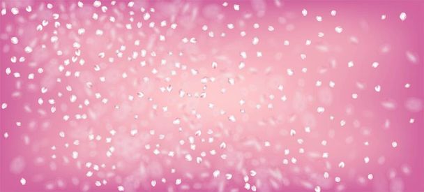 Черрі Сакура Петалс Конфетті. Blooming Cosmetics Ad Elegant Floral Background Flying Japanese Sakura Rose Cherry Petals Frame Вінді залишає Confetti Banner. Чудова преміум тендерна текстура. - Вектор, зображення
