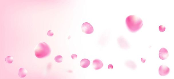 Rózsa szirmok hulló Confetti. Virágzó kozmetikumok hirdetés nemes virág háttér. Női gazdag VIP mágikus textúra. Zuhanó japán cseresznye rózsa Sakura szirmok keret. Szeles levelek Confetti Design. - Vektor, kép