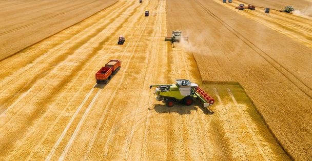 Cosechadoras cosechadoras reúne trigo en el campo de grano amarillo, vista aérea - Foto, Imagen