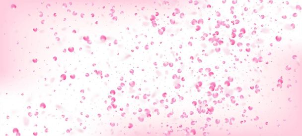 Rózsa szirmok hulló Confetti. Női gazdag VIP akvarell minta. Virágzó kozmetikumok hirdetés gyönyörű virág háttér. Windy elhagyja a Confetti Design-t. Falling japán cseresznye rózsa Sakura szirmok poszter. - Vektor, kép