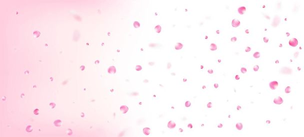 Rozenblaadjes vallen Confetti. Winderige bladeren Confetti grens. Vallende Japanse Rose Cherry Sakura bloemblaadjes frame. Bloeiende cosmetica Ad vrouwelijke bloem achtergrond. Mooie rijke VIP Tender textuur. - Vector, afbeelding