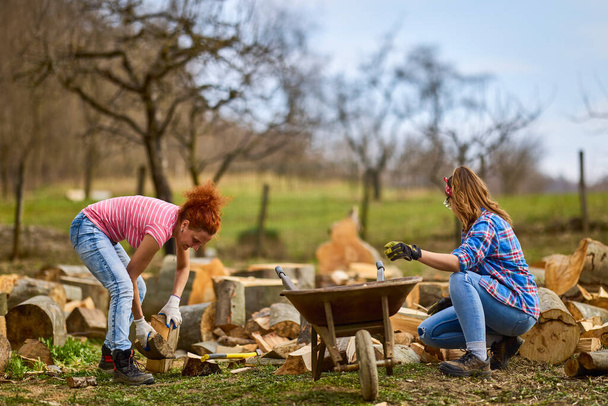 две женщины работают вместе, чтобы заготовить дрова на зиму - Фото, изображение