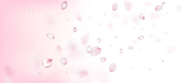 Cherry Sakura Blütenblätter Konfetti. Windy Leaves Confetti Frame. Blühende Kosmetik Ad Schöne Blume Hintergrund. Female Rich VIP Magic Texture. Fliegende japanische Rose Sakura Kirschblütenblätter. - Vektor, Bild