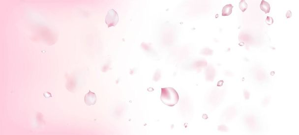 Cherry Sakura Petals Confetti. Caída de la rosa japonesa Sakura Cherry Petals Banner. Patrón femenino rico VIP tierno. Cosméticos florecientes Ad hermoso fondo floral. Hojas ventosas Confetti Design. - Vector, imagen