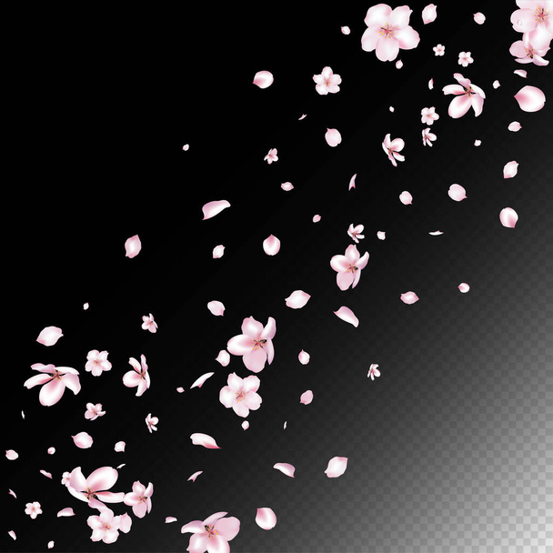 Sakura Cherry Blossom Confetti. Větrné listy plakátu Confetti. Vznešená prémiová ženská textura. Flying Japanese Rose Sakura Cherry Petals Banner. Kvetoucí kosmetika Ad Krásné květinové pozadí. - Vektor, obrázek