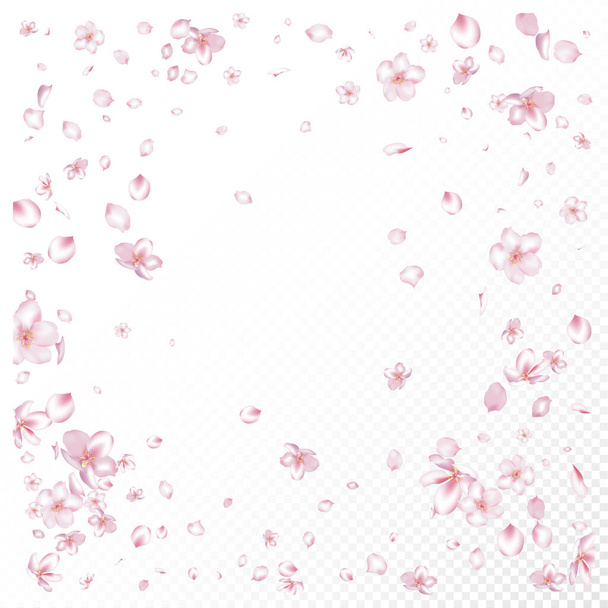 Confettis de fleurs de cerisier Sakura. Falling Japanese Sakura Cherry Rose Petals Border. Blooming Cosmetics Ad Noble Arrière-plan floral. Affiche Confettis Feuilles Venteuses. Femme Premium Pastel Pattern. - Vecteur, image