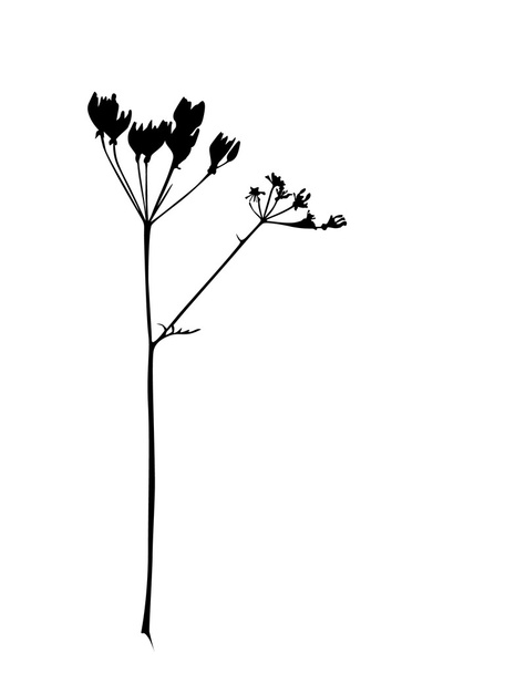 Flower silhouette - Vektör, Görsel