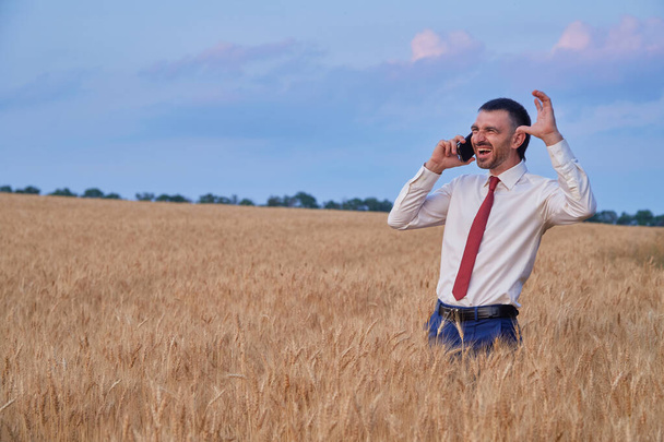 homem de negócios feliz no campo de trigo emocionalmente falando ao telefone. - Foto, Imagem