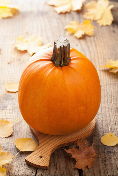 pumpkin on wooden background  - Photo, Image
