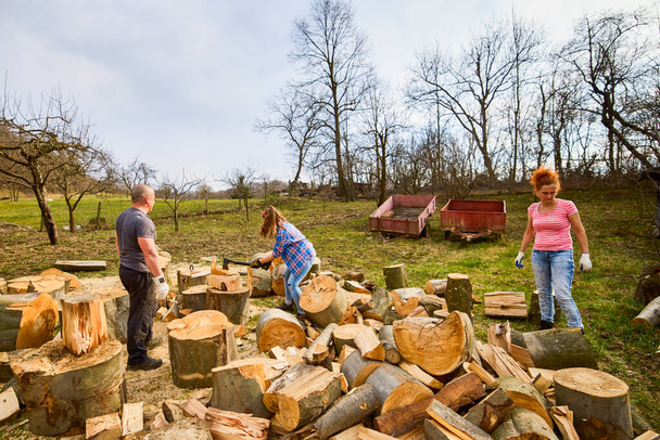 a family working together to prepare firewood for the winter - Photo, Image