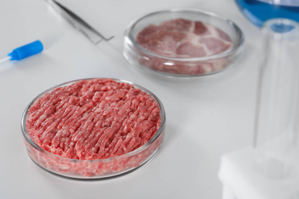 Petri dish with raw minced cultured meat on white table, space for text - Zdjęcie, obraz