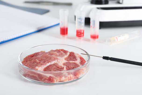 Petri dish with piece of raw cultured meat and dissecting needle on white table in laboratory - Fotó, kép