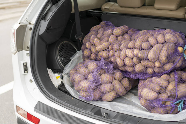 A megrakott kocsi a csomagtartóban tartja a krumplit. egy kocsi csomagtartójában, tele krumplival. tónusú - Fotó, kép