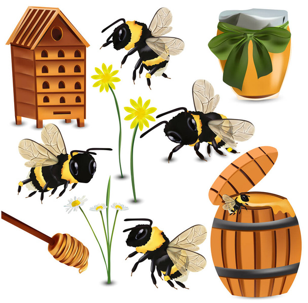 Бамбукова бджола, вулик, медовий дробарка, скляні банки з медом, дерев'яний вулик, квітка ромашки на білому тлі. 3d Векторні ілюстрації
 - Вектор, зображення