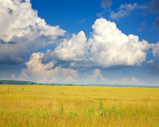 Summer landscape with field under cloudy sky - Фото, зображення