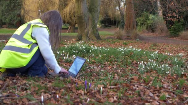 Conservation vrijwilliger werken in hi vis jas op laptop in park  - Video
