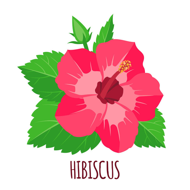 Hibiscus flower icon in flat style isolated on white background. Ayurvedic medicinal plant. Tropical exotic flower. Vector illustration. - Vector, Image