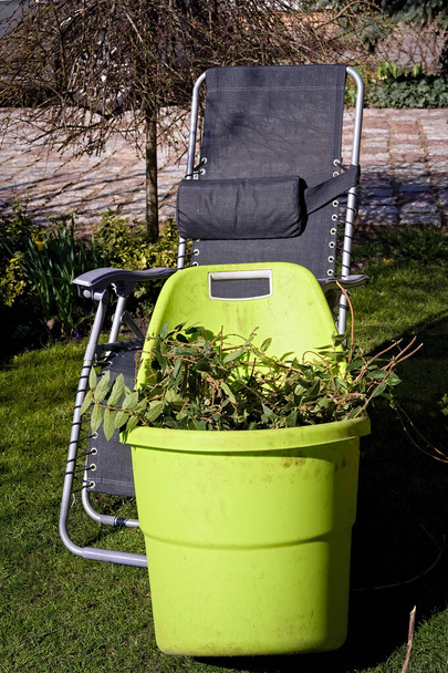 Een ligstoel en een mand met afgeknotte takken op het gazon van een binnentuin - Foto, afbeelding