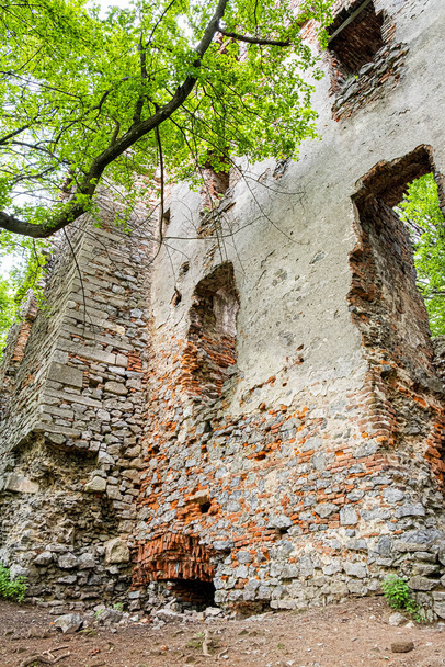 Ruiny zamku Pajstun, Republika Słowacka, Europa Środkowa. Cel podróży. Sezonowa scena naturalna. - Zdjęcie, obraz