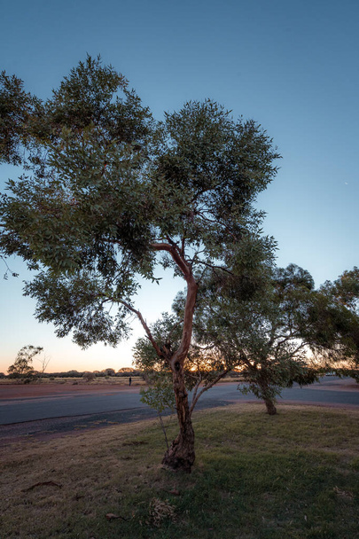 Takamaa, Keski-Australia, pohjoinen alue - Valokuva, kuva