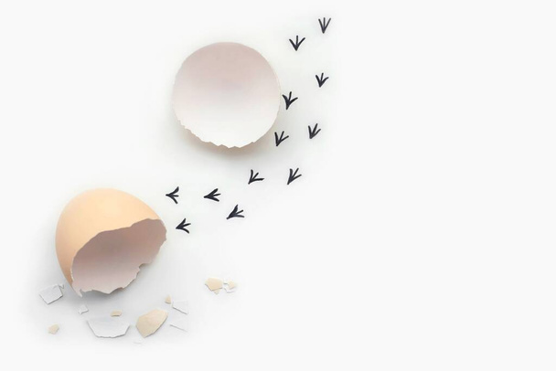 Voetafdrukken van een eierschaal. Eerste stappen van een kuiken op een witte geïsoleerde achtergrond. Concept van ver uit de comfortzone, een nieuw leven, vooruitgang - Foto, afbeelding