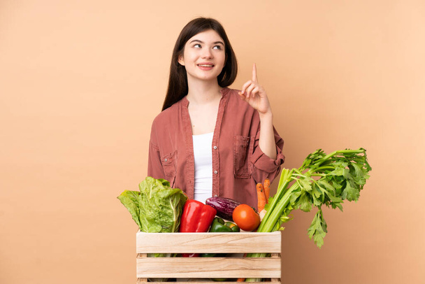Young farmer girl with freshly picked vegetables in a box pointing up and surprised - Photo, Image