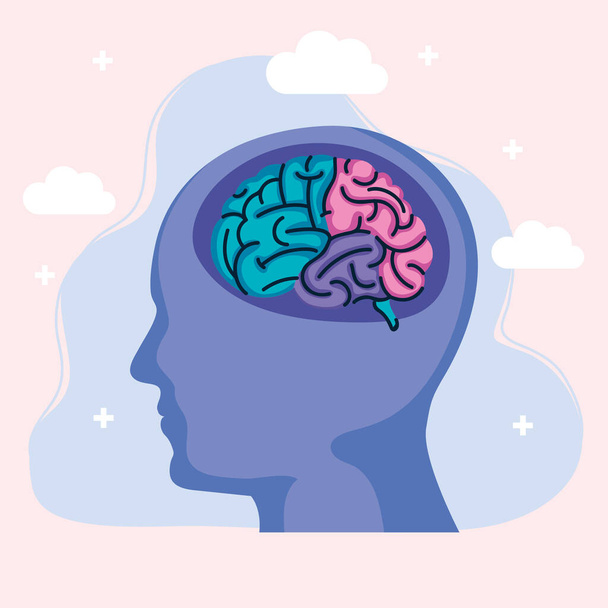 profil cerveau humain - Vecteur, image