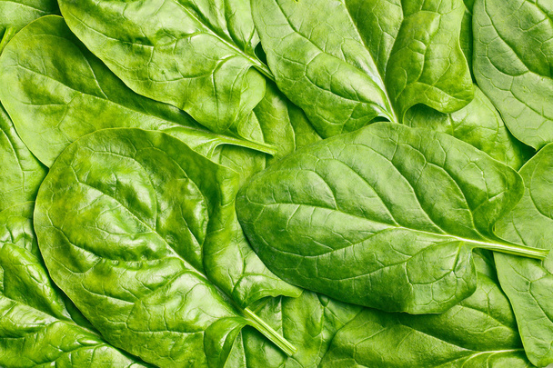 green spinach leaves  - Photo, image
