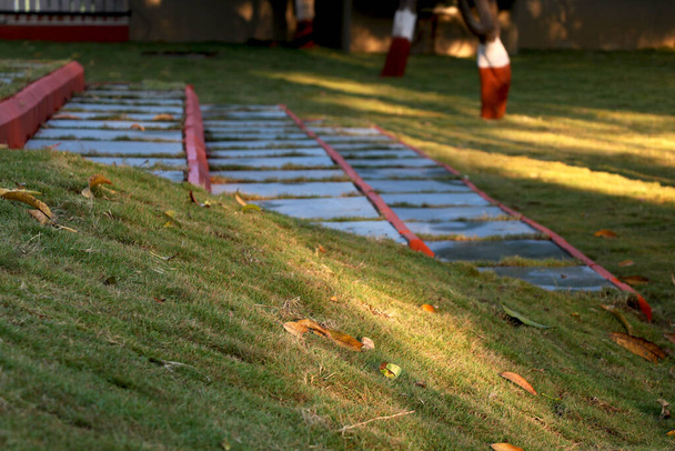 Vue de tuiles de ciment marches dans le jardin avec prêt vert - Photo, image
