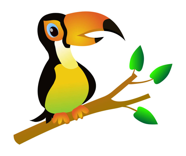 Papagaio tucano no ramo estoque ilustração vetor isolado em fundo branco - Vetor, Imagem