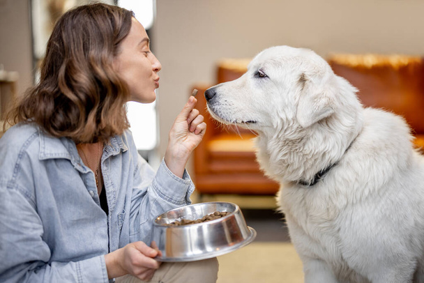 Donna che alimenta un cane con cibo secco - Foto, immagini