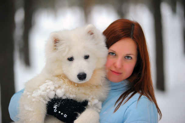Girl with a puppy Samoyed - Fotoğraf, Görsel