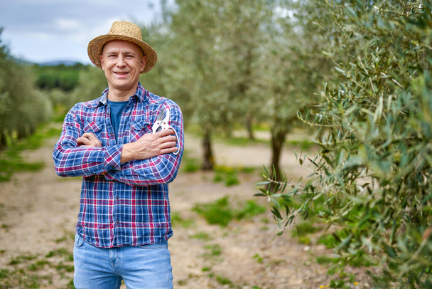 Чоловік фермер з солом'яним капелюхом на оливковій плантації
. - Фото, зображення