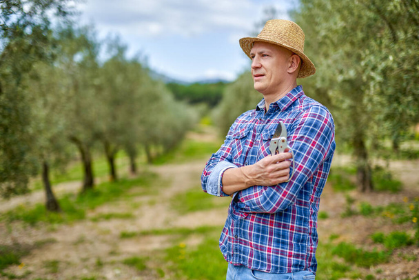 Фермер в соломенной шляпе осматривает оливковую плантацию. - Фото, изображение