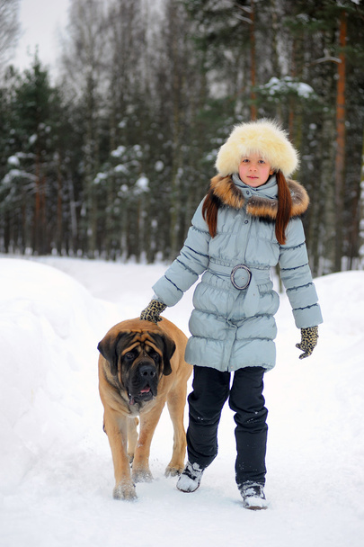 Girl with her english mastiff dog. - Photo, image