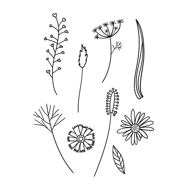 Ensemble vectoriel isolé de feuilles abstraites noires et blanches et de fleurs en ligne art  - Vecteur, image