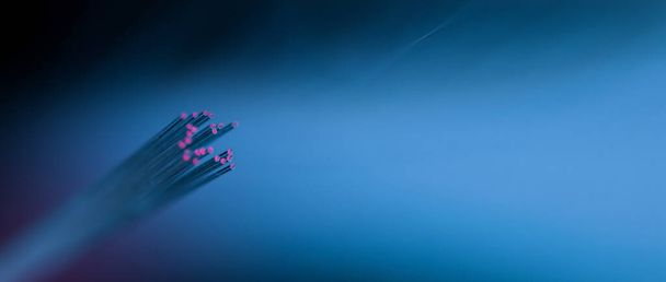макрос волоконно-оптичних ниток з рожевими кінцями на синьому дефокусованому фоні
 - Фото, зображення