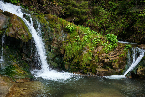 Waterfall in the Carpathians - Photo, Image